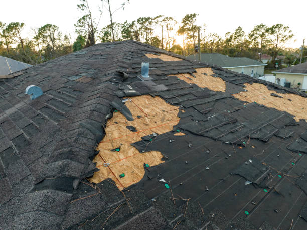 Best Metal Roofing Installation  in Black Diamond, FL